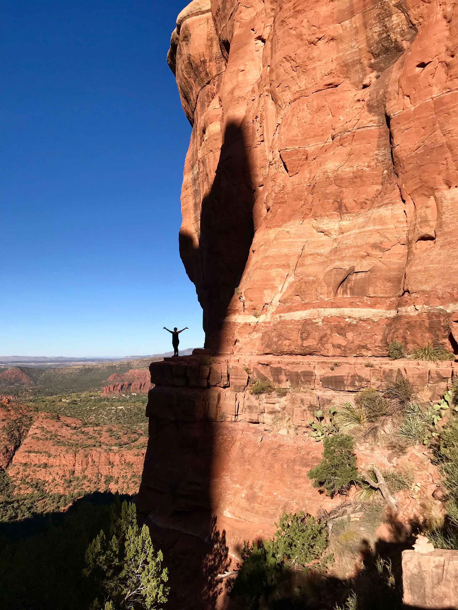 ena sedona 5 l